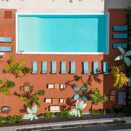 Samawa Living Hotel Paje Exterior foto